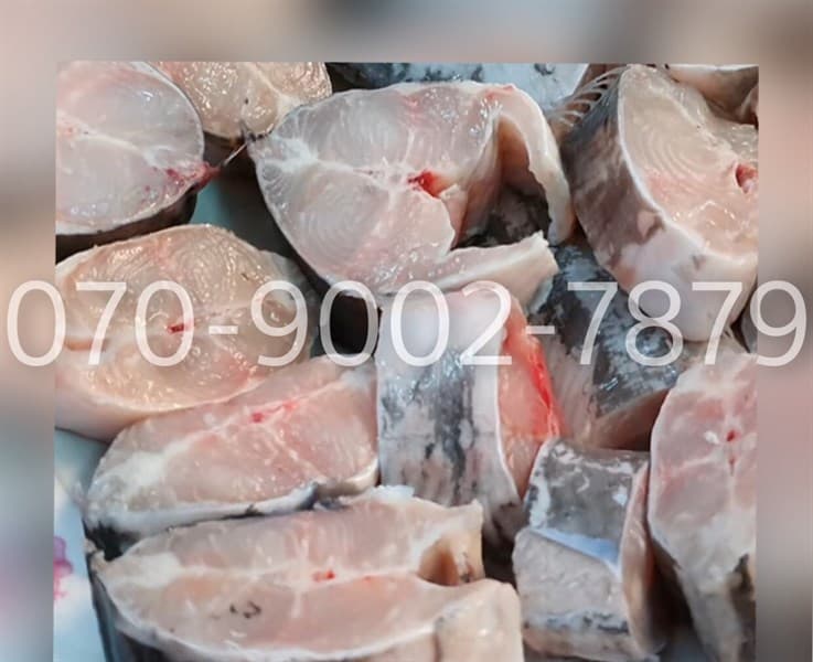 CÁ TRÊ CẮT SẴN ナマズ切り身 CATFISH (CUT)