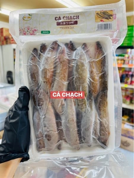 CÁ CHẠCH ドジョウ LOACH